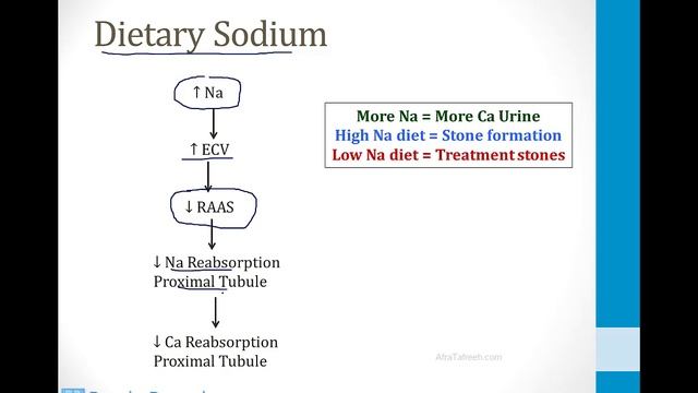 Почки USMLE - 5. Другие темы по почкам - 4.Камни в почках (Boards and Beyond)