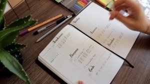 Как Я Веду ЕЖЕДНЕВНИК + Планирование недели, Моё расписание