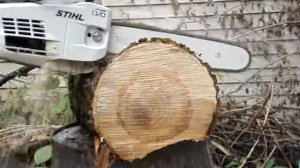 Stihl ms-201c-m