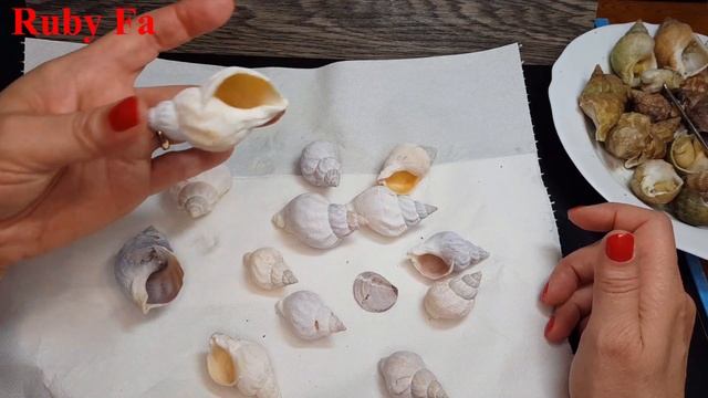 использование в бижутерии морских улиток смотреть онлайн