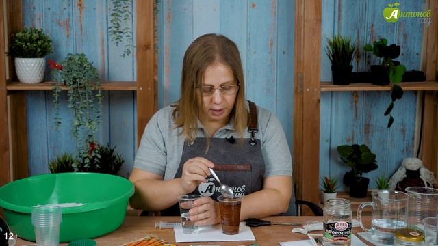 Не выбрасывайте старые семена! Проверяем всхожесть семян смотреть онлайн