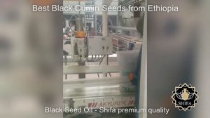 Shifa Black Seed Oil