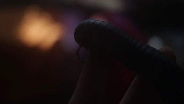 Giant African Millipede (Archispirostreptus gigas) Гигантская многоножка, африканский черный кивсяк смотреть онлайн