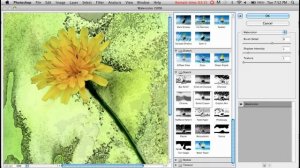 Photoshop CS5 Filters