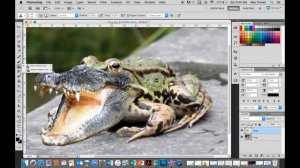 Frogodile Tutorial (Photoshop CS5 for Mac)