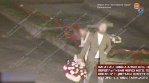 В Калининграде росгвардейцы задержали туристов по подозрению в осквернении Вечного огня