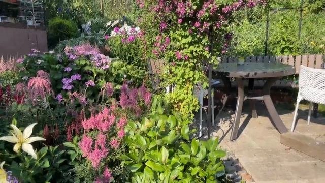 ЛУЧЧШИЕ ПОДКОРМКИ ДЛЯ ЦВЕТОВ