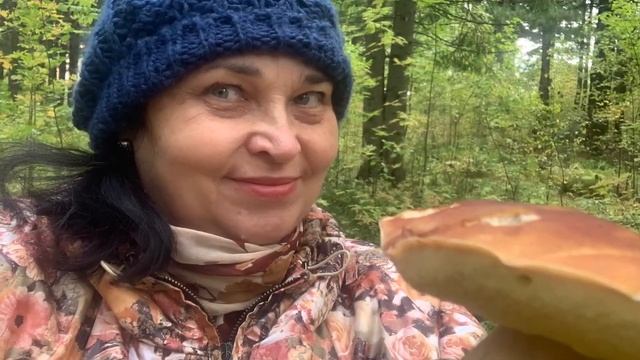 Грибной и ягодный сезон 2022 в Ханты-Мансийске. смотреть онлайн