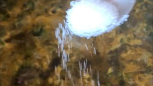 Варенье из одуванчиков