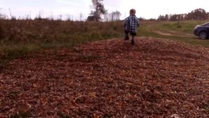 Краснодарский край, Апшеронский район, Нефтегорское городское поселение