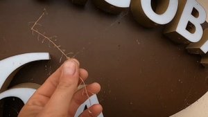 Светильники на фасаде НУЖНЫ или НЕТ фасадное освещение частного дома последствия