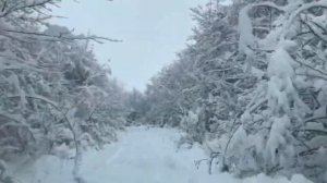 Нива шеви с мотором Приора снег
