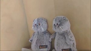 вопрос ответ от Басика и его друзей