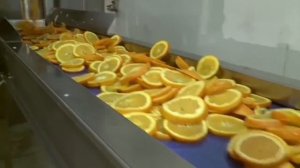 Сушка фруктов