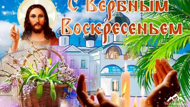 Вербное воскресенье ! Поздравление с вербным воскресеньем !