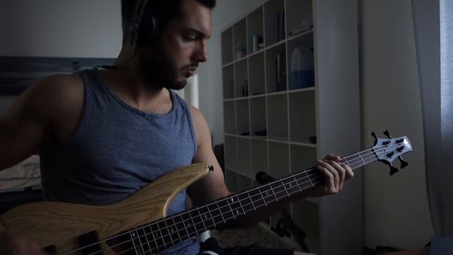 Linkin Park - From the Inside (Bass Cover) смотреть онлайн