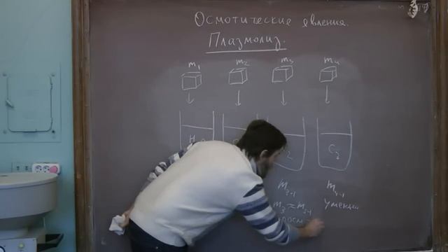 Плазмолиз и деплазмолиз смотреть онлайн