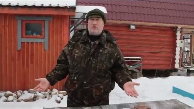 Источники кальция для кур несушек.