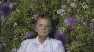 Вентиляция улья через нижний леток