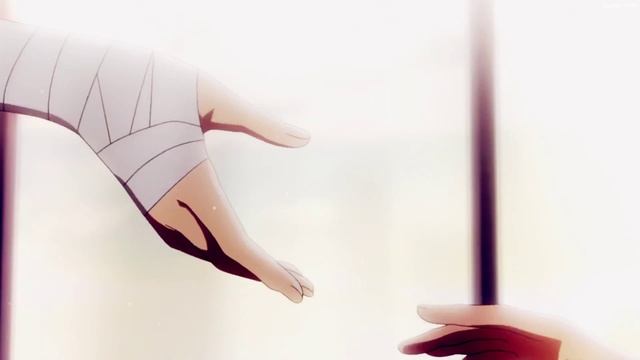 Princesses Dont CryAMV- Akagami no Shirayuki-hime ᴴᴰ