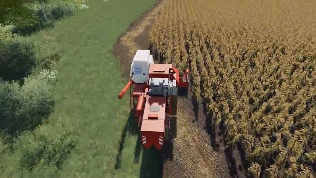 Уборка подсолнечника  карта рассвет ! Farming simulator 2019