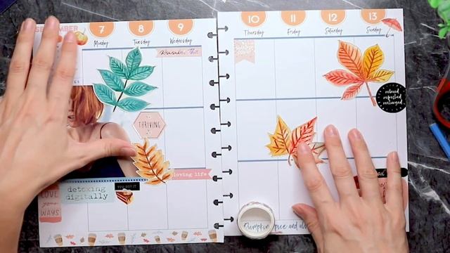 PLAN WITH ME // Sept wk 2 // Fall Spread // Autumn Leaves // Art Collage // Vertical Happy Planner смотреть онлайн
