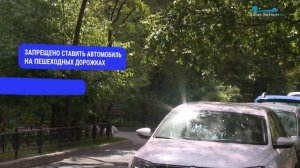 Аккуратность помогает экономить: как правильно припарковать автомобиль, чтобы не получить штраф