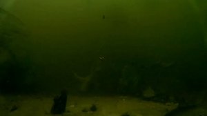 ФИДЕР + ПОДВОДНЫЕ СЪЕМКИ / ДУШЕВНАЯ РЫБАЛКА на СЕВЕРСКОМ ДОНЦЕ