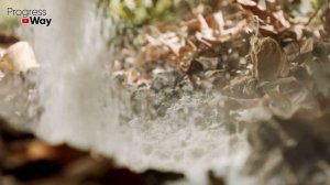 Подзимний Посев Моркови! Главные Секреты И Правила!