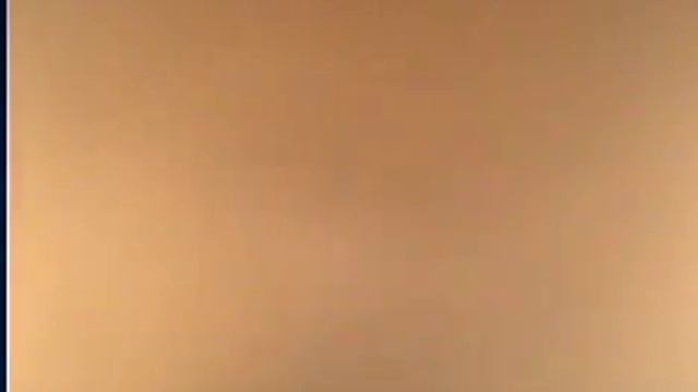 Гастроскопия желудка у афалина, пищевод и первый отдел желудка норма www.endovet.com смотреть онлайн