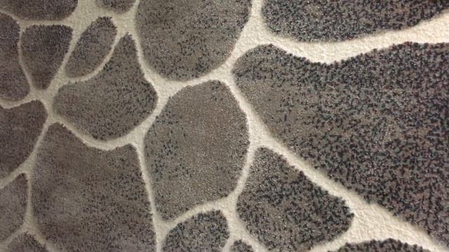 Леруа Мерлен обзор Ковры и цены от больших до маленьких. Ассортимент Leroy Merlin осень 2020. смотреть онлайн