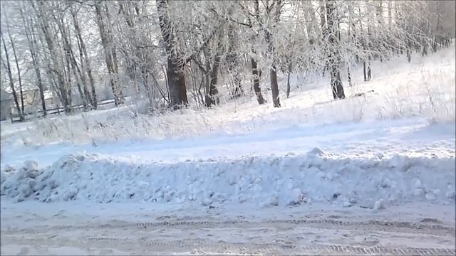 Тверская область. КРИСиный видеоконтроль смотреть онлайн