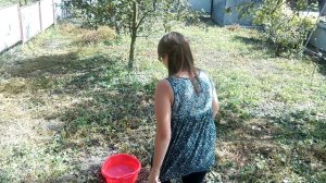 IceBucketChallenge