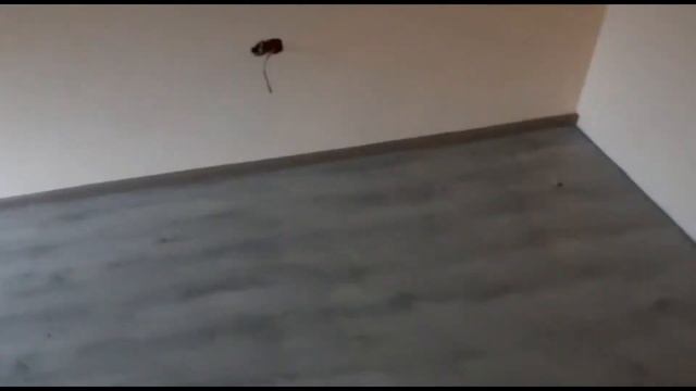 СТРОИМ ДОМ УСТАНОВКА ПЛИНТУСОВ смотреть онлайн