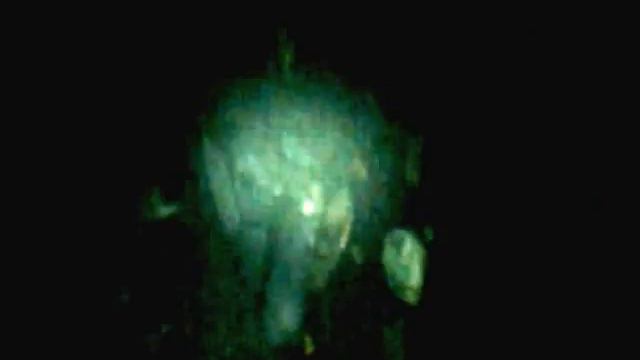 ЗВЕРОФЕРМА смотреть онлайн