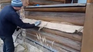 Процесс конопатки сруба паклей