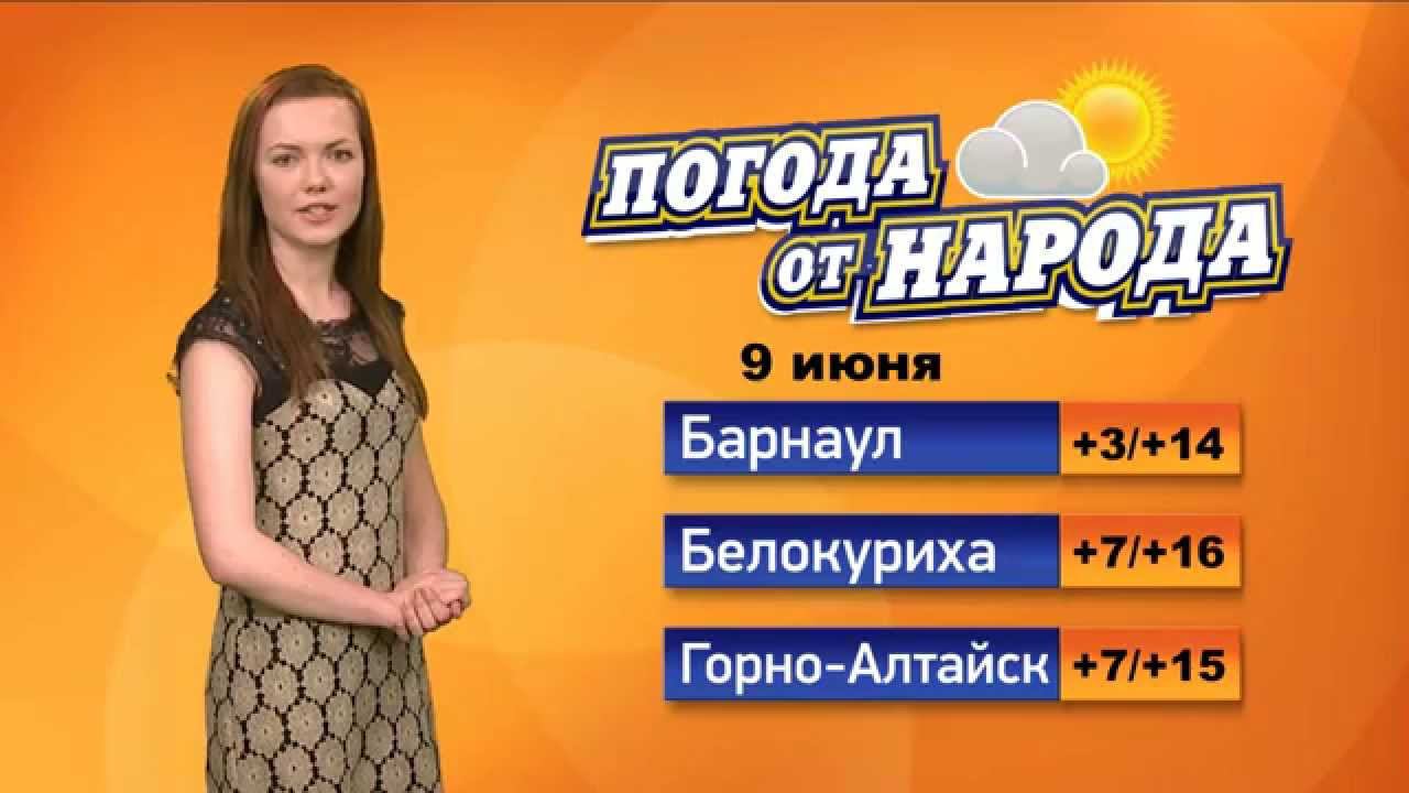 Погода в бийске года