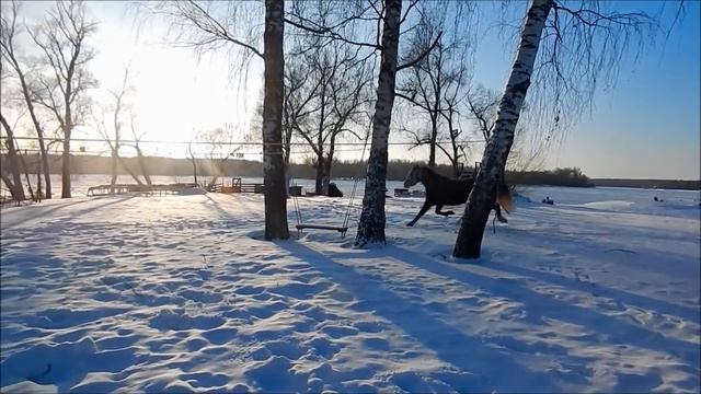 О.Уходово Московское море туристическая база Спарта смотреть онлайн