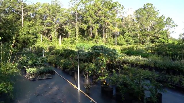 This New Filtration System Is A GAME CHANGER! смотреть онлайн