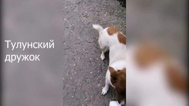 Первое лето в Калининграде