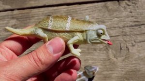 Лягушки ПРОТИВ Хамелеонов Деагостини