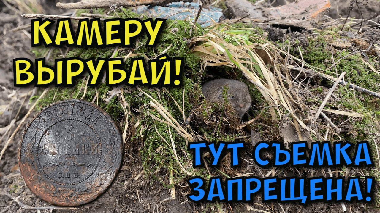 новые находки на выбитом хуторе#леснойскобарь#коп#металлоискатель#находкисметаллоискателем#minelab