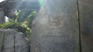 Universal Studios Orlando or Islands of Adventure 2021 | Which One Should You Visit??