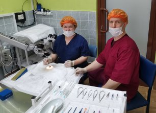 Учебные курсы: Оперативные методики лечения катаракты у животных