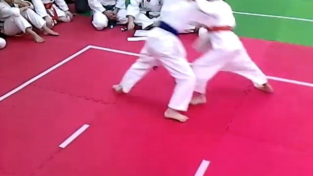 VID 20141116 115218