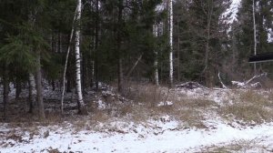 Охота на лося.  "зарисовка"
