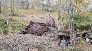 15.09.2022. Начало строительства переправы через канал