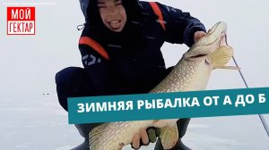 ЗИМНЯЯ РЫБАЛКА ОТ А ДО Б | УЧУСЬ БРАТЬ ОТ ВОЛГИ ВСЕ | СОСЕД ПО ЗАГОРОДНОЙ ЖИЗНИ | ОТ СОХИ ДО СОХИ