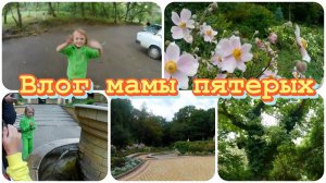 удивительное место✔️мотивация✔️на отдых ✔️влог @мама пятерых