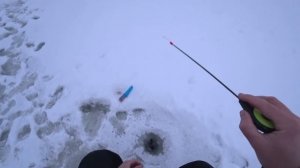 РОТАН ГУРМАН. БЛЕСНЮ РОТАНА НА САЛО. Ловля ротана зимой.